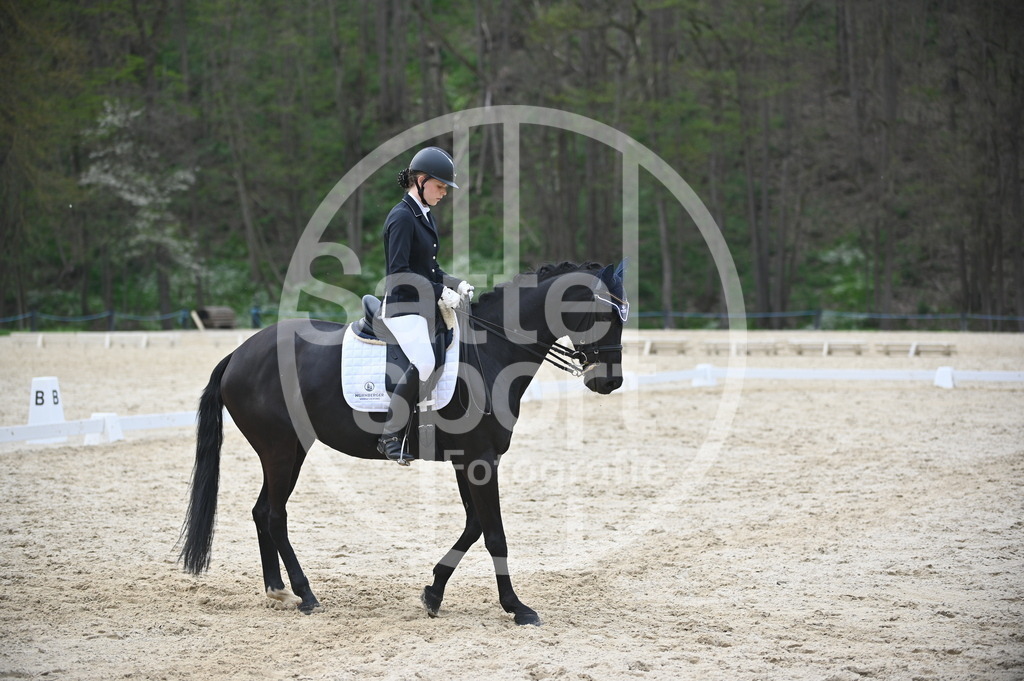 DSC_5240 | sattelsport - Realisiert mit Pictrs.com