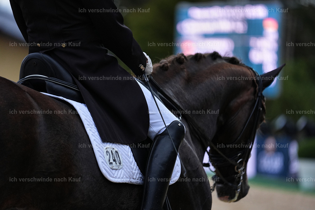 8_2-240-DRESSUR S_  -Marixx-4616 | working equitationturnier fotograf videograf stoibphotography marixx film working equitation deutschland reitsport turnierfotografie eventfotografie equestrian events