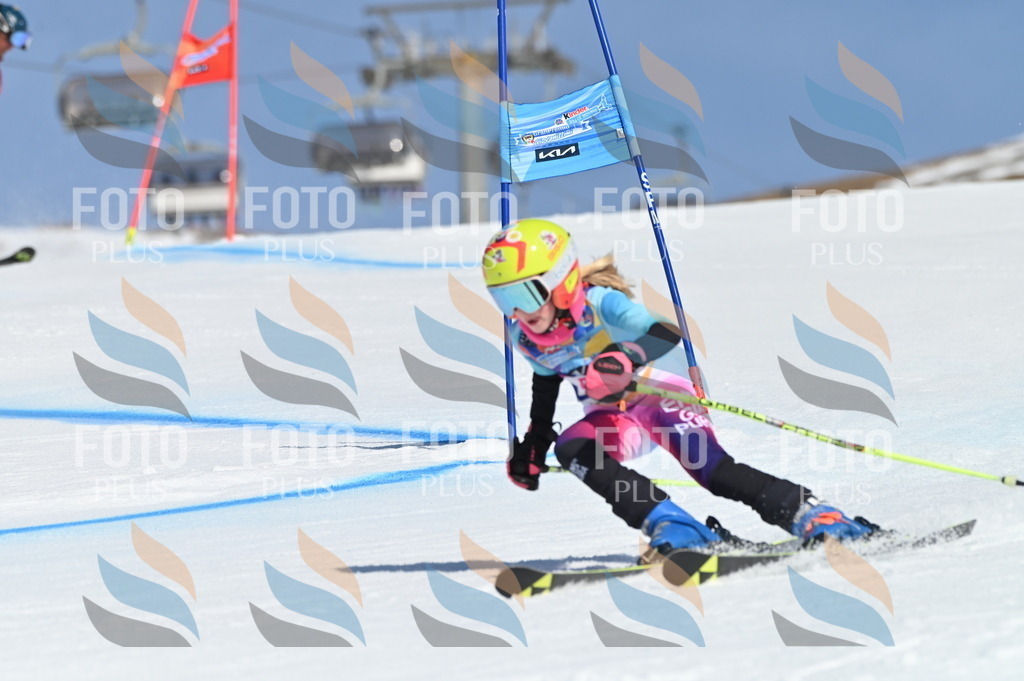 BGV_8715 | holidayphoto