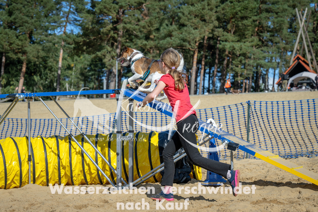 1226_ZZ93127-2 | kk-dogfotos