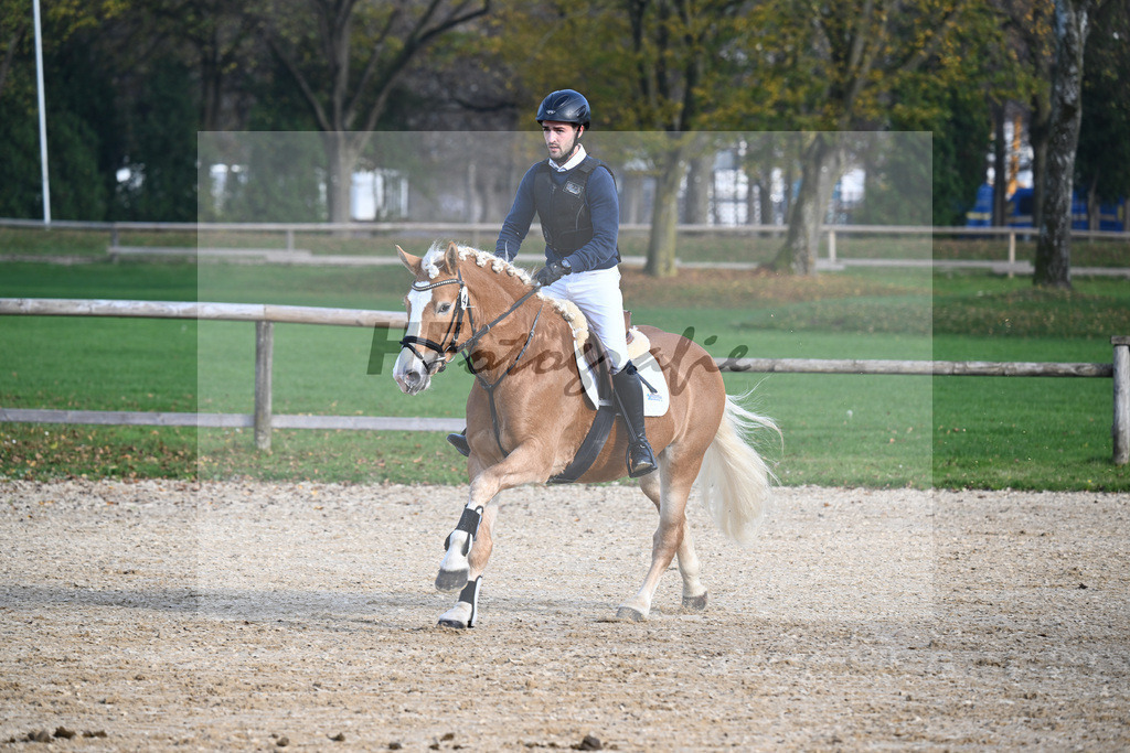 Kat-Nr. 4 Eichhofs Antares_Heule_44240880 | hf-fotografie - Realisiert mit Pictrs.com