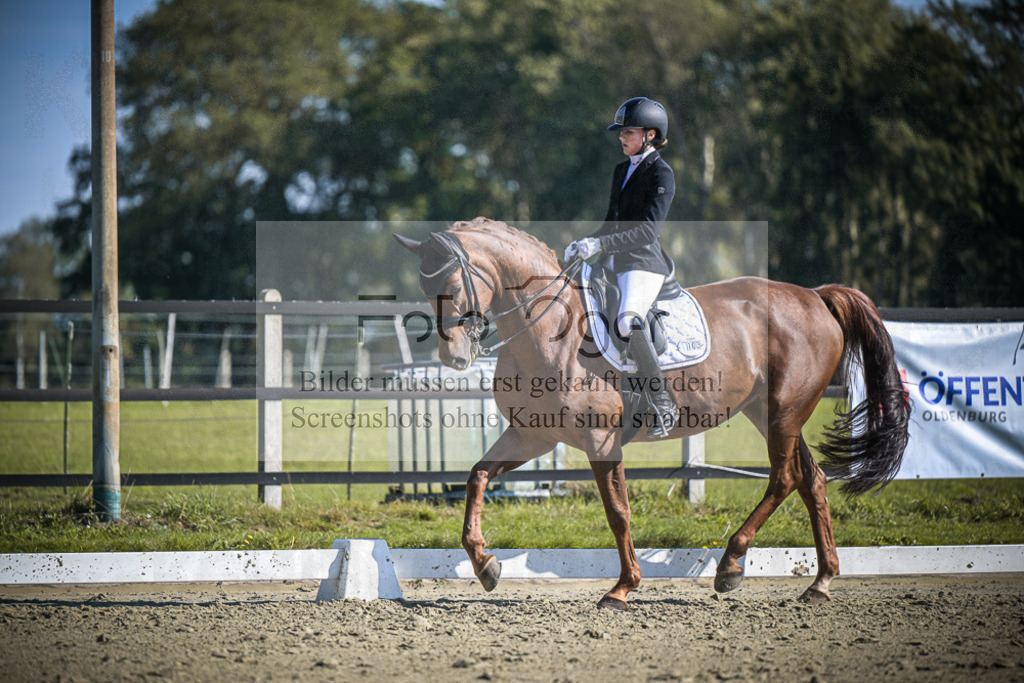 DOS_2861 | Entdecke hochwertige Reitturnierfotos von Foto Oger. Professionell, emotional und authentisch – jetzt Lieblingsmomente im Shop bestellen.Deutschlandweite Turnierfotografie. - Realisiert mit Pictrs.com
