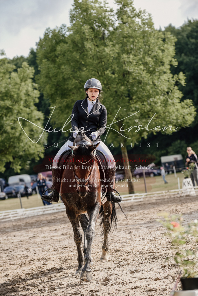 DSC_8632 | Pferde- und Turnierfotografie in Westsachsen. Pferdeportraits, Auftragszeichnungen und intuitive Kunst.
