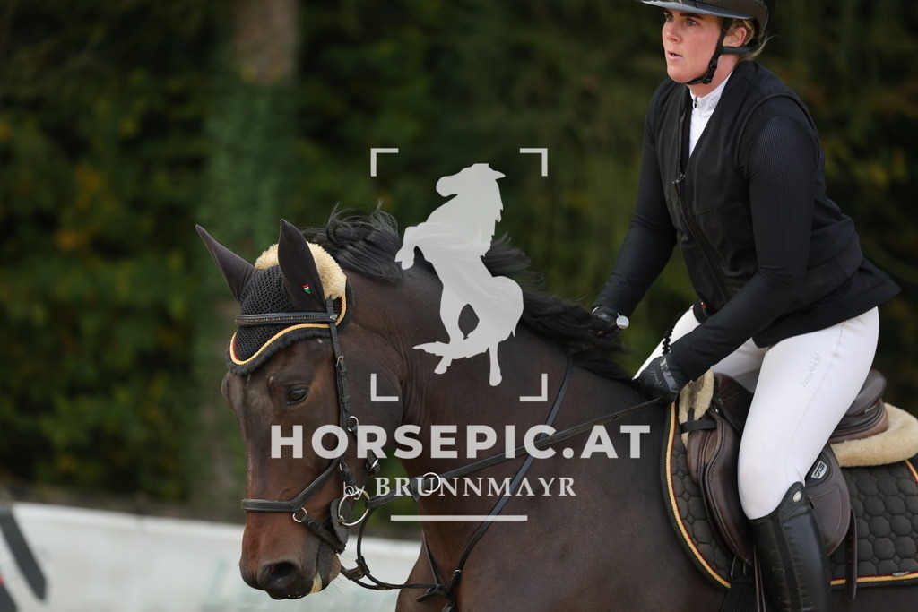 0P6A0876 | Willkommen bei Brunnmayr - Design & Fotografie – Ihrem Spezialisten für Reitturniere und Pferdeveranstaltungen in Oberösterreich, Salzburg und Bayern! Seit über 17 Jahren sind wir leidenschaftlich dabei.