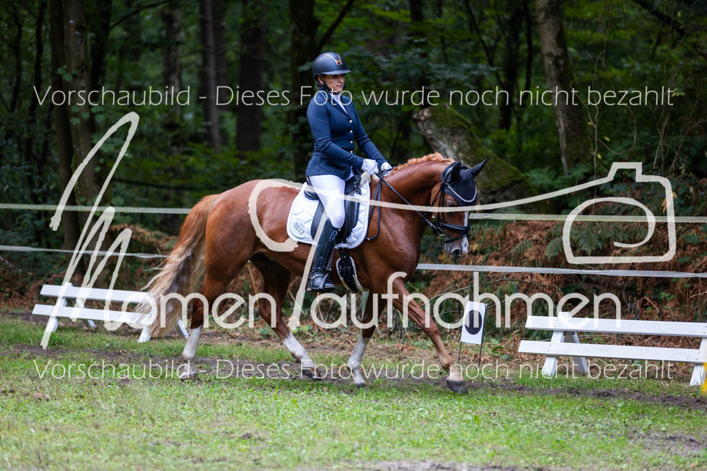 HB-A-Dressur-155 | MomenTaufnahmen Pferdesportfotos