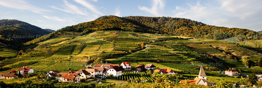 foto_c_pfeffel-partner-0078-R52_0273-Pano-Bearbeitet | alexander-pfeffel - Realisiert mit Pictrs.com