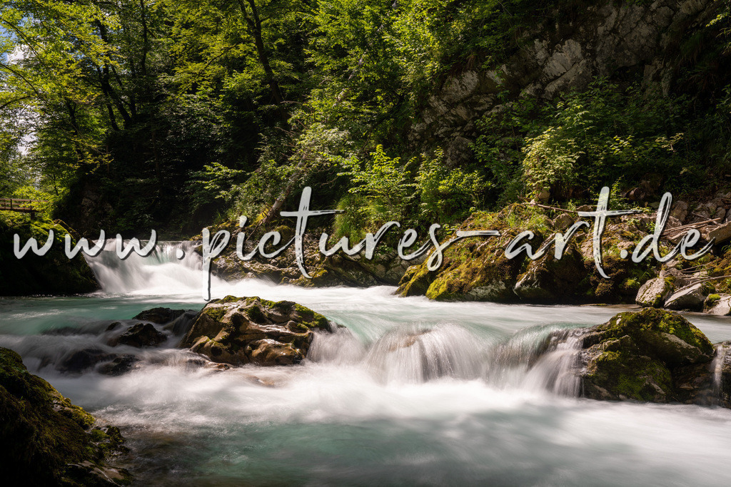 DSC09774 | pictures-art.de