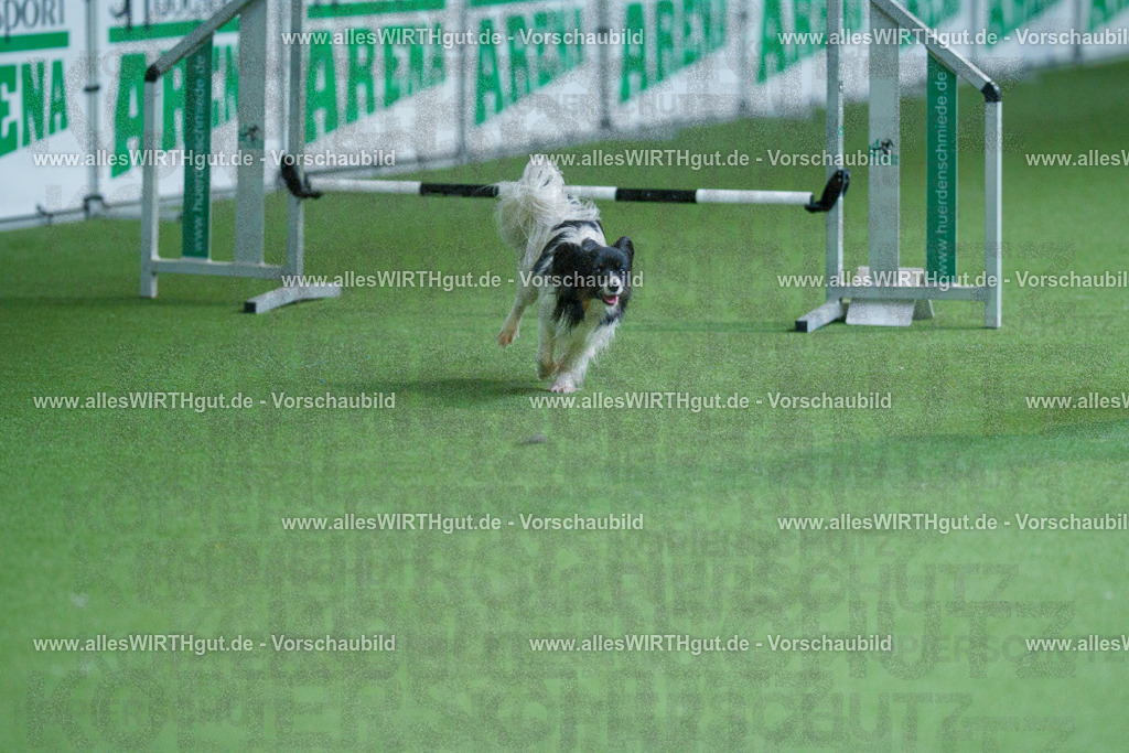 @allesWIRTHgut_Tierfotografie - www.allesWIRTHgut.de - 2604251449-7R505604 | Professionelle Tierfotografie in Mönchengladbach von Daniel Wirth (allesWIRTHgut). Liebevolle & natürliche Bilder von Hunden & Katzen für unvergessliche Erinnerungen.