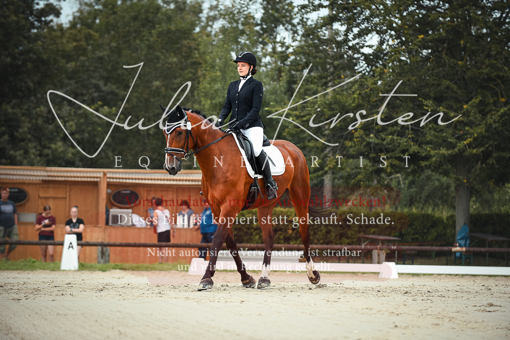 DSC_8061 | Pferde- und Turnierfotografie in Westsachsen. Pferdeportraits, Auftragszeichnungen und intuitive Kunst.