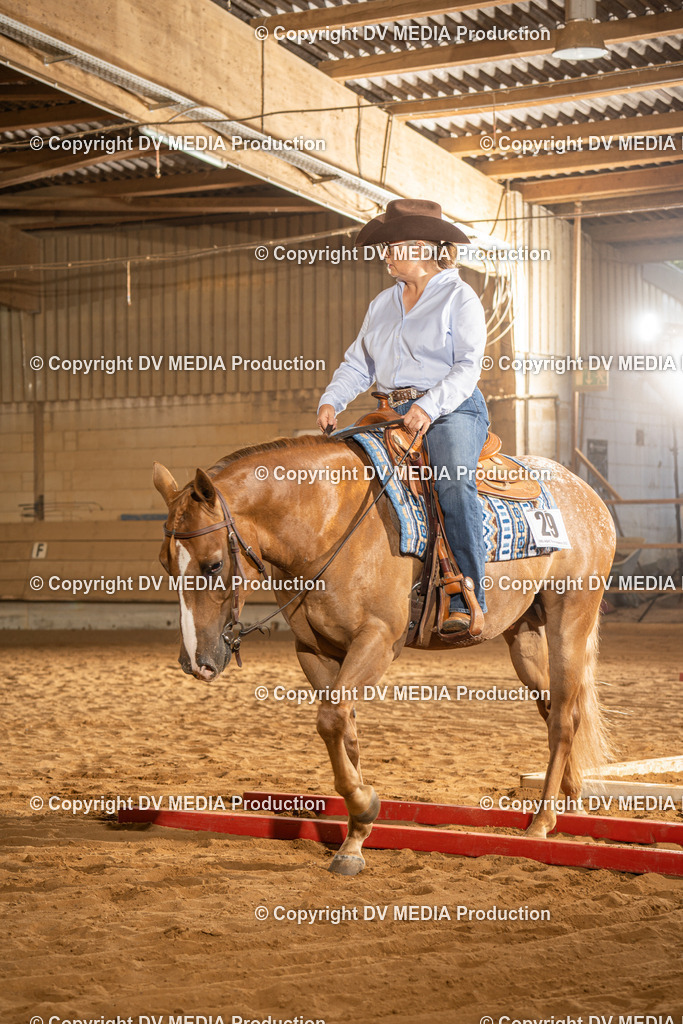 NID02600 | dv-media-shop - Realisiert mit Pictrs.com