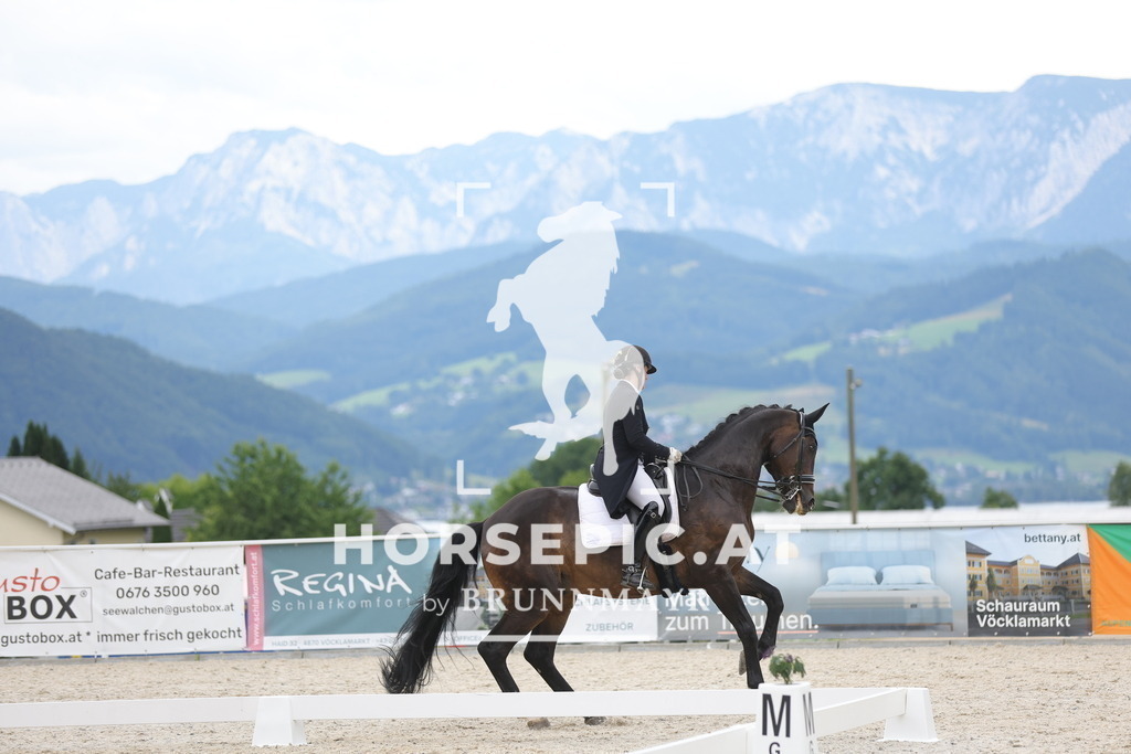 0P6A7229 | Willkommen bei Brunnmayr - Design & Fotografie – Ihrem Spezialisten für Reitturniere und Pferdeveranstaltungen in Oberösterreich, Salzburg und Bayern! Seit über 17 Jahren sind wir leidenschaftlich dabei.