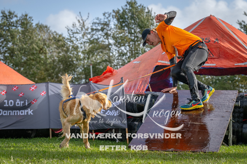 1211-92708 | kk-dogfotos