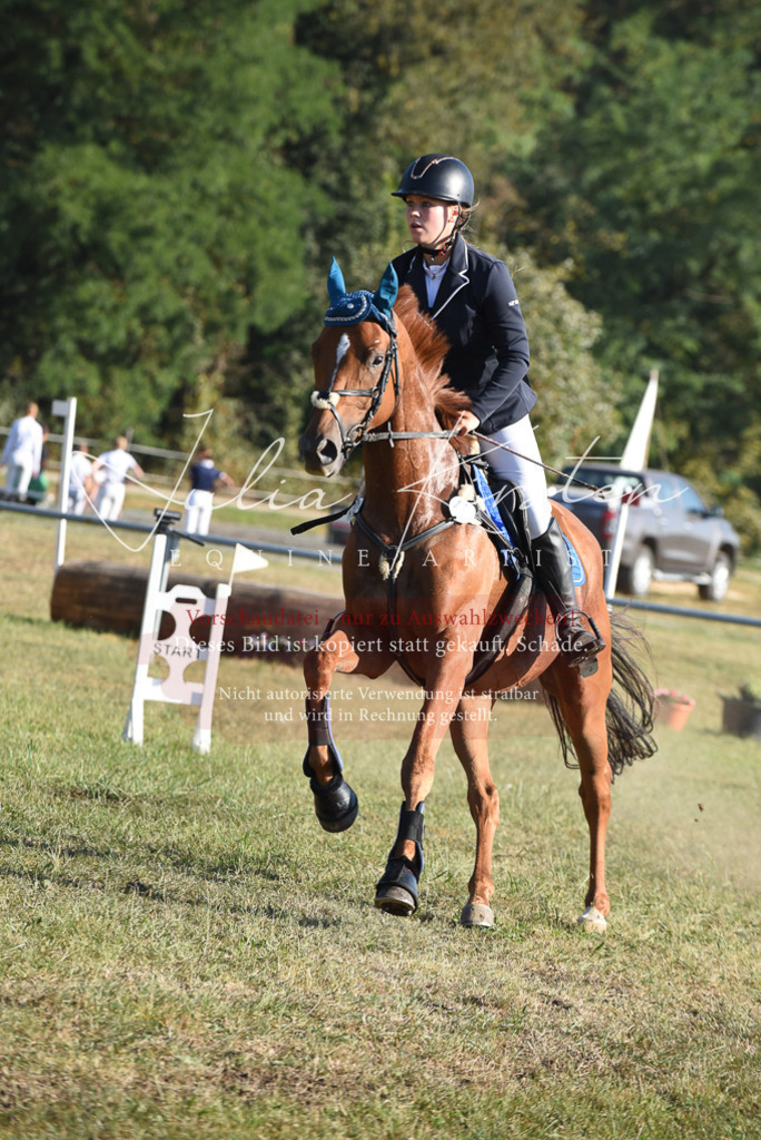 DSC_5232 | Pferde- und Turnierfotografie in Westsachsen. Pferdeportraits, Auftragszeichnungen und intuitive Kunst.