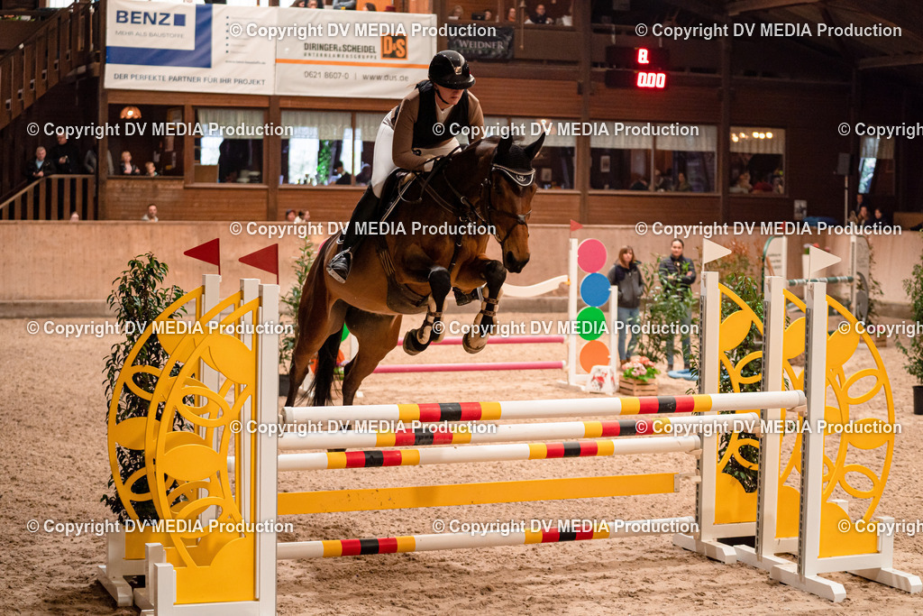 Springen Tag 2-701 | dv-media-shop - Realisiert mit Pictrs.com