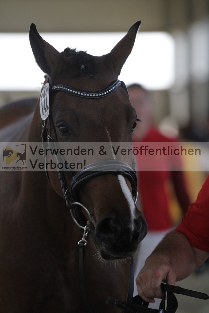 _MG_9927 | equestrian-live-com