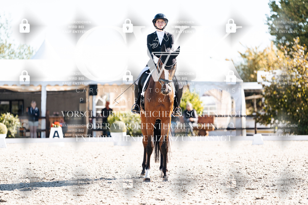 CK908600 | Turnierfotografie Pferdefotografie Trier Rheinland-Pfalz Pferdesport Reitsport Tierfotografie Sportfotografie Pferdevideo Pferdevideografie Equestrianvideography equestrianphotography  - Realisiert mit Pictrs.com