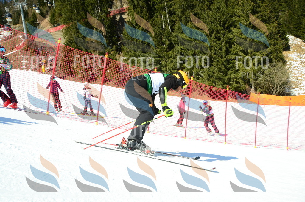 C6726 | holidayphoto