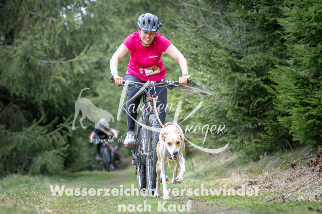 1310_ZZ93795 | kk-dogfotos