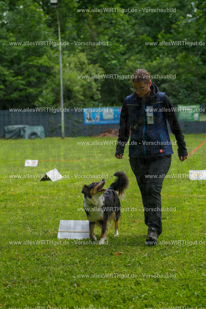 @allesWIRTHgut_Tierfotografie - www.allesWIRTHgut.de - 7R502388 | Professionelle Tierfotografie in Mönchengladbach von Daniel Wirth (allesWIRTHgut). Liebevolle & natürliche Bilder von Hunden & Katzen für unvergessliche Erinnerungen.