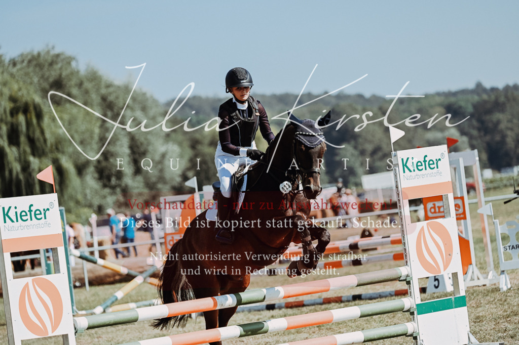 DSC_9497 | Pferde- und Turnierfotografie in Westsachsen. Pferdeportraits, Auftragszeichnungen und intuitive Kunst.