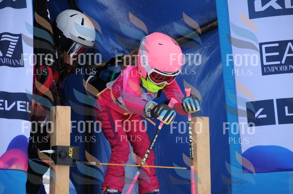 DSC_7934 | holidayphoto