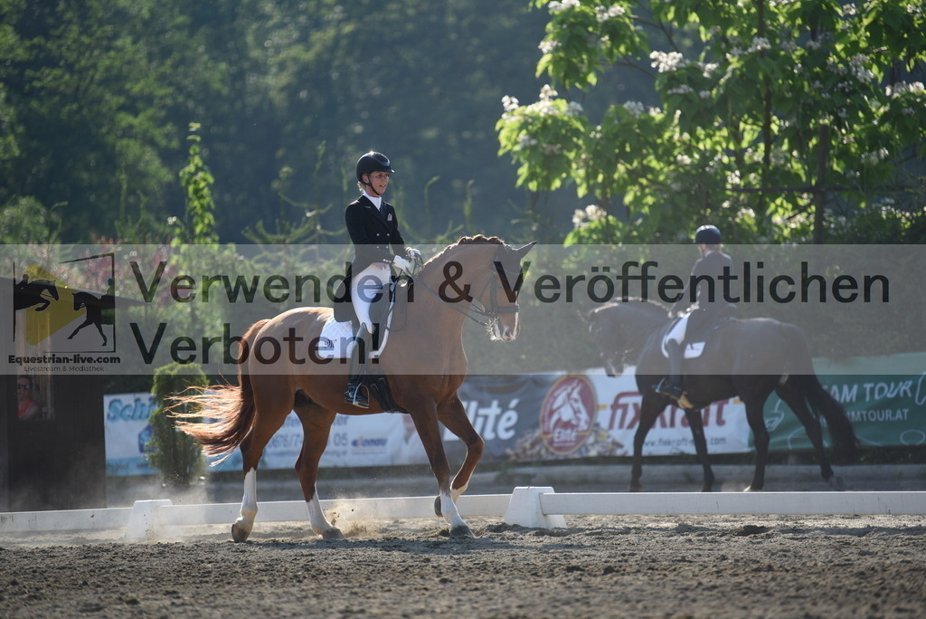 DSC_3182 | equestrian-live-com