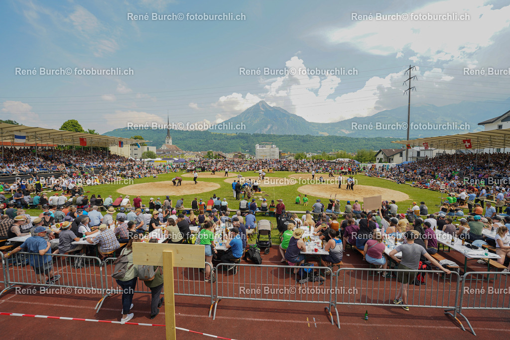 DSC00392 | René Burch leidenschaftlicher Fotograf aus Kerns in Obwalden.  Hier finden sie Sport, Landschaft und Natur Fotografie.
 - Realisiert mit Pictrs.com