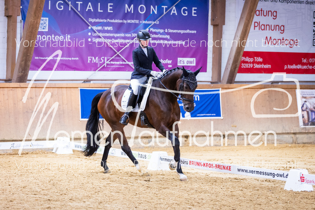 Sth-A-Dre-2St-175 | MomenTaufnahmen Pferdesportfotos