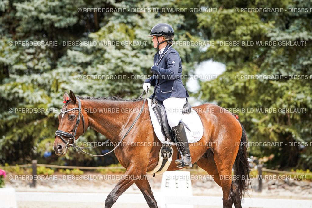 DSC04040 | Pferdegrafie