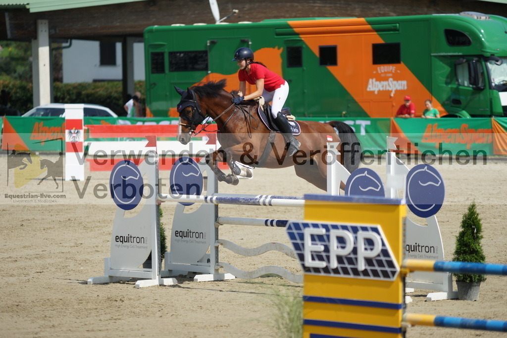 DSC09095 | equestrian-live-com