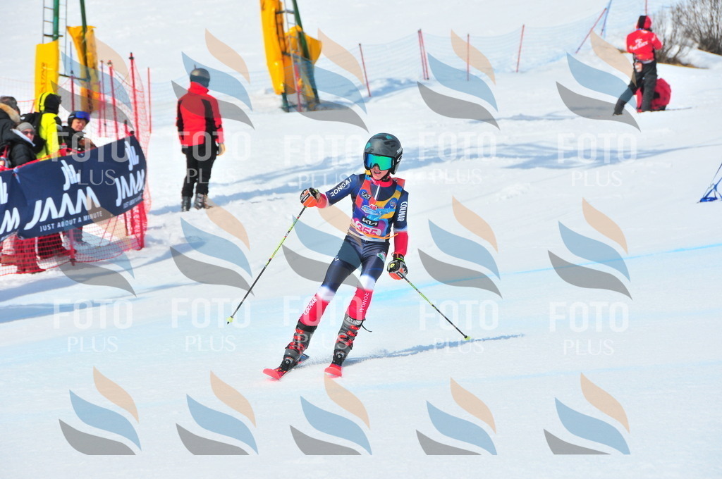 DSC_6993 | holidayphoto