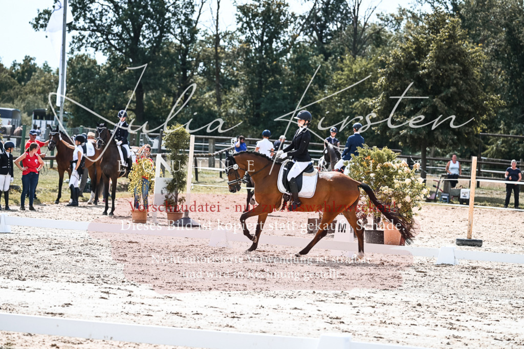 DSC_5155 | Pferde- und Turnierfotografie in Westsachsen. Pferdeportraits, Auftragszeichnungen und intuitive Kunst.