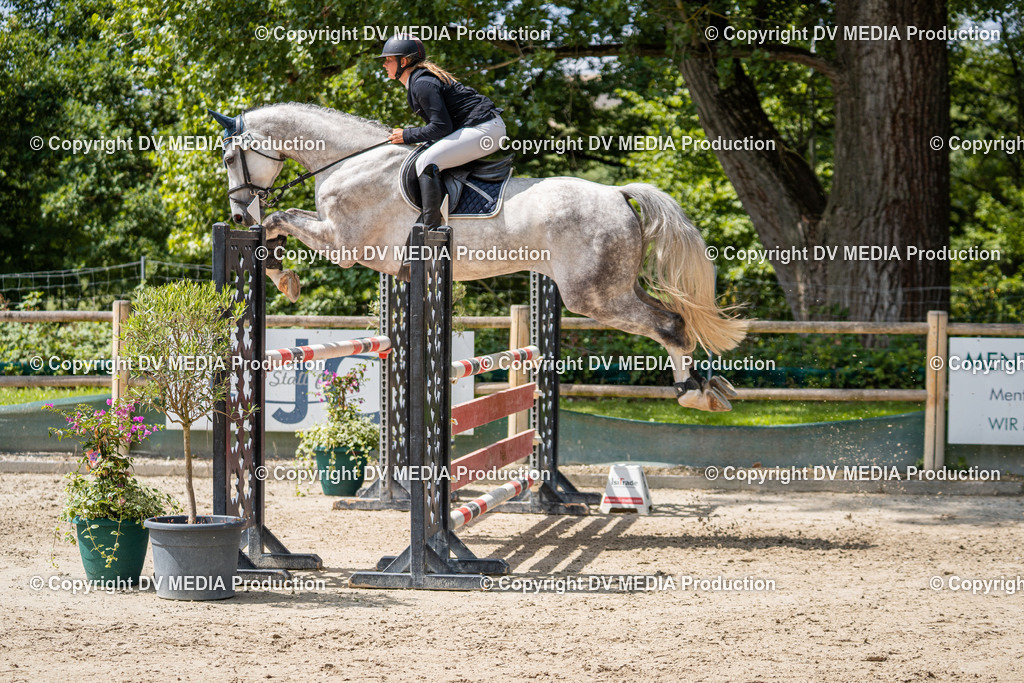 Hessische Tag 1-220 | dv-media-shop - Realisiert mit Pictrs.com