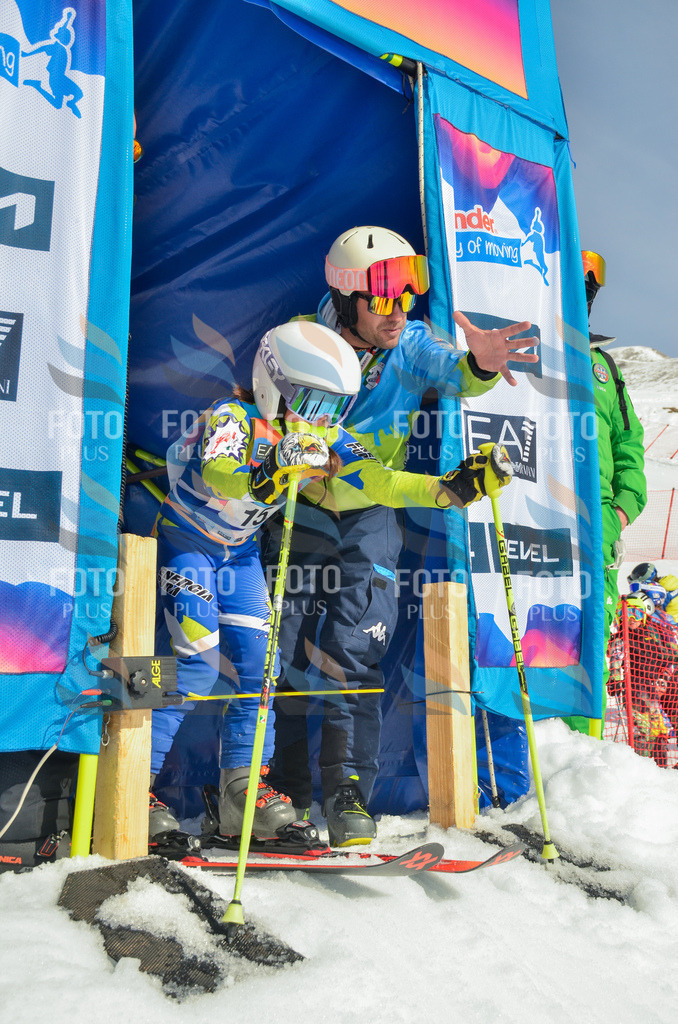 _ELE4648 | holidayphoto