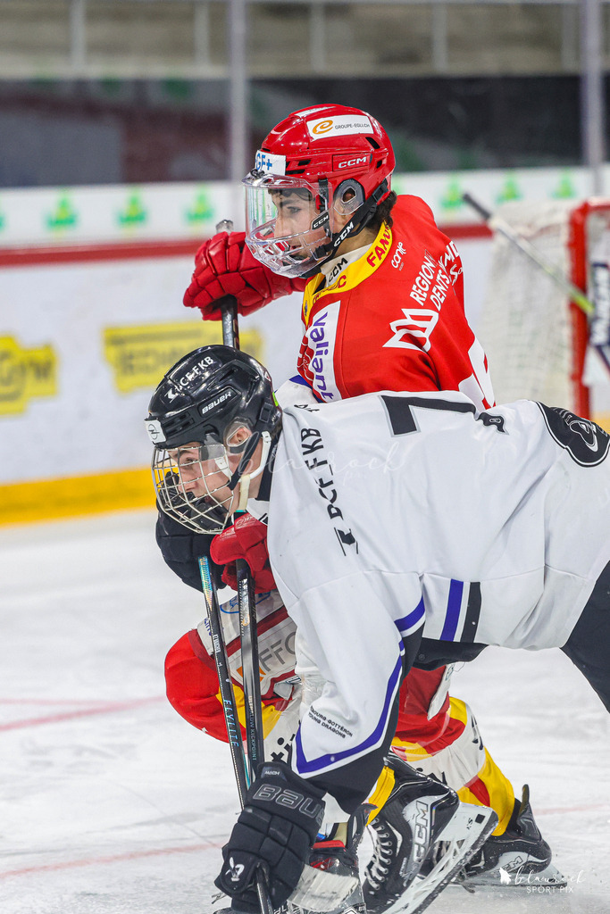 EHCB Spirit vs HCFG_wb-8794 | Sportbilder, Sportfotograf, Hochzeits- und Eventfotografin, Flugshows, Portraits und Tiershooting, Aviation, Downhill, Nationalleague, Swissleague, International