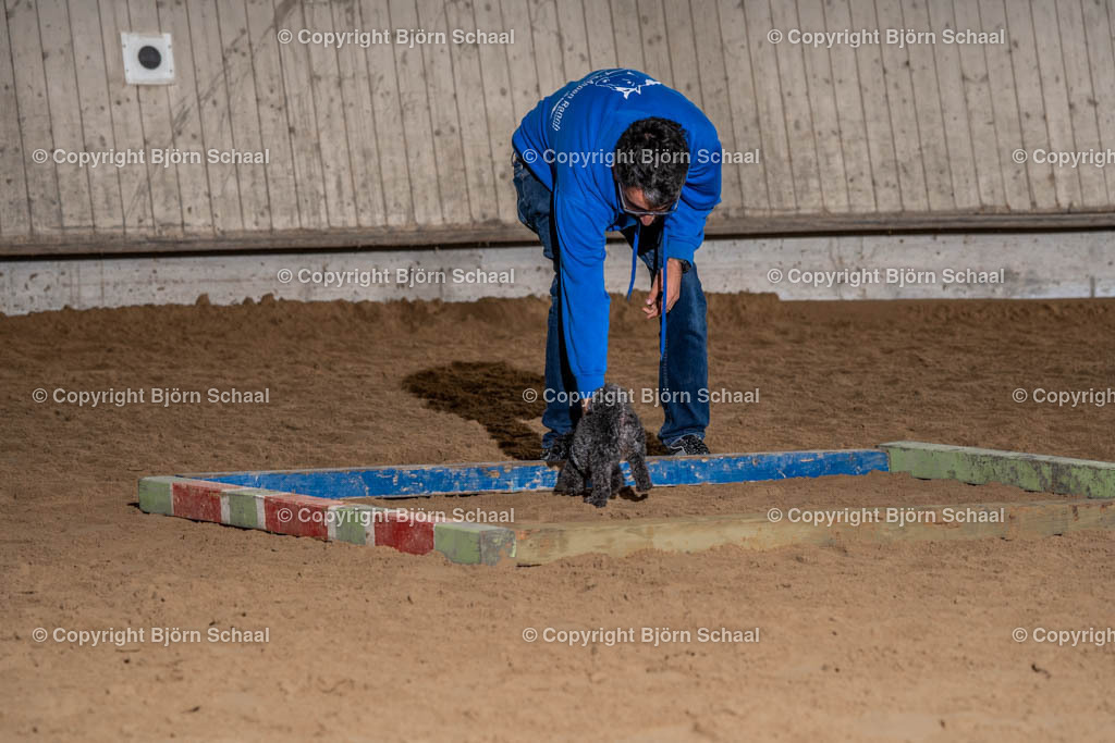 SBS04579 | BS-foto