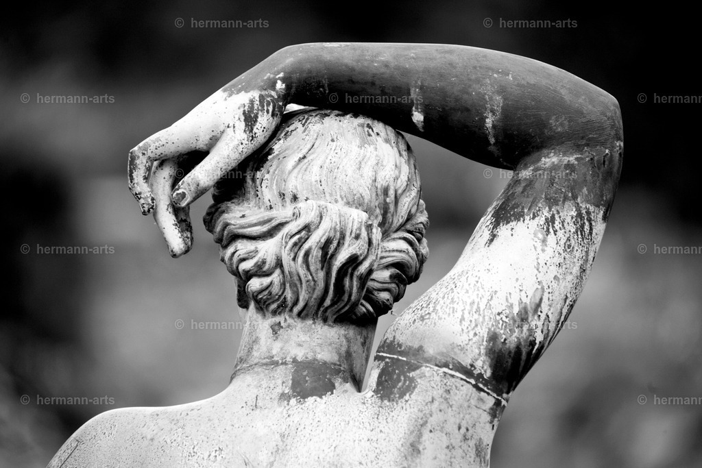 Skulptur-Arts-002 | Photo Foto Kunst Art schwarzweiss Bilder Rheine Münster Berlin Blumen 