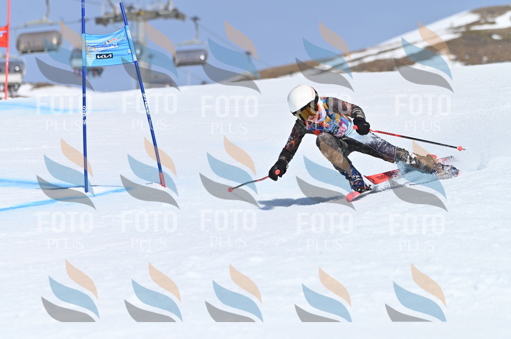 BGV_0103 | holidayphoto