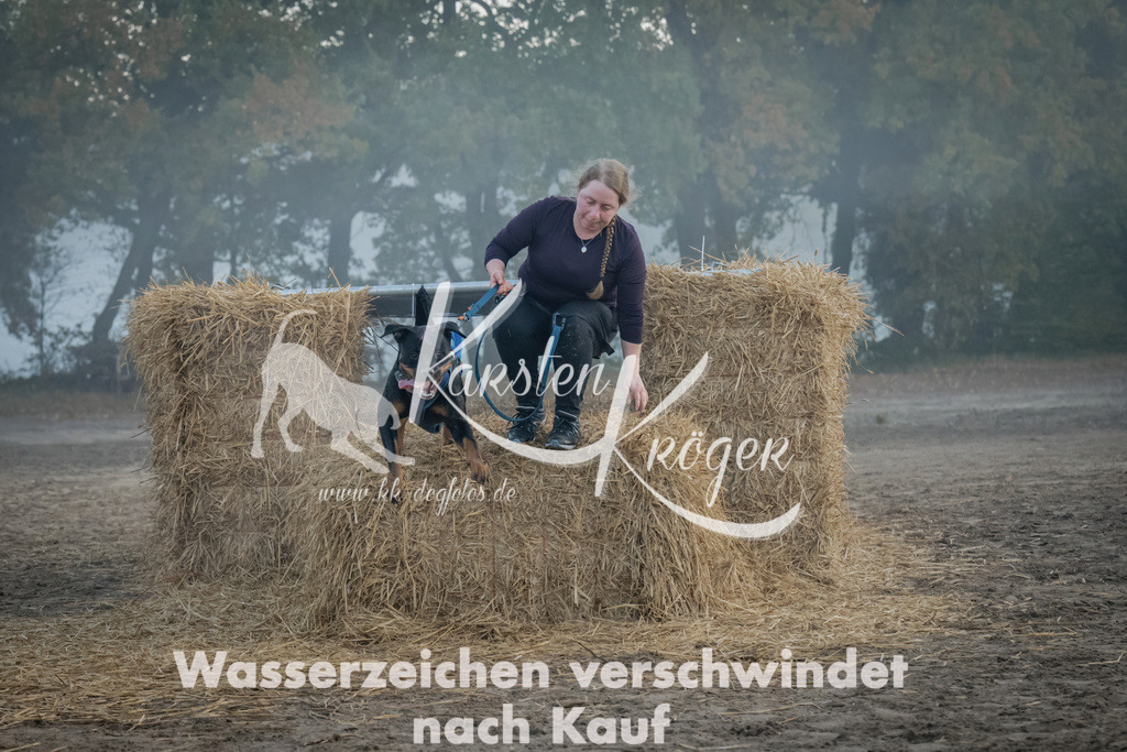 0819_ZZ97757 | kk-dogfotos