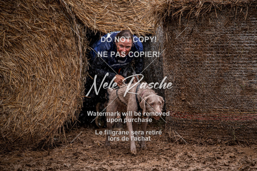nelerasche_Hunsrück_So09-11_125 | nelerasche