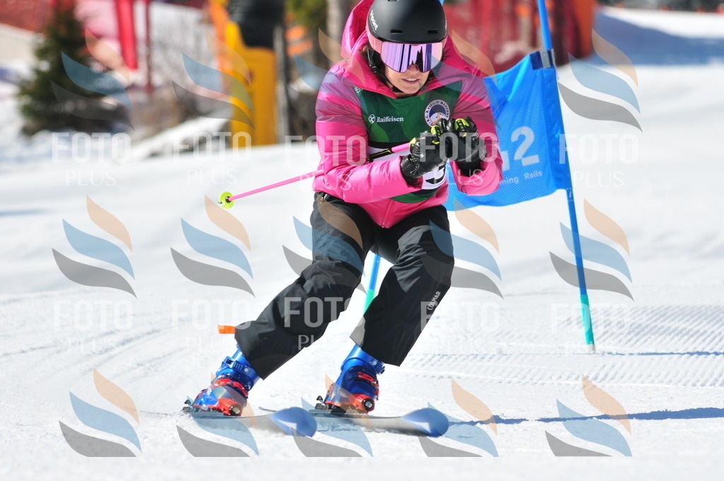 C3972 | holidayphoto