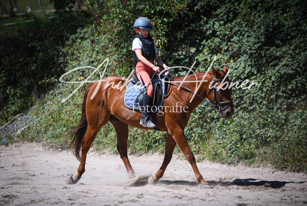 DSC_1019 | anikahuebner - Realisiert mit Pictrs.com