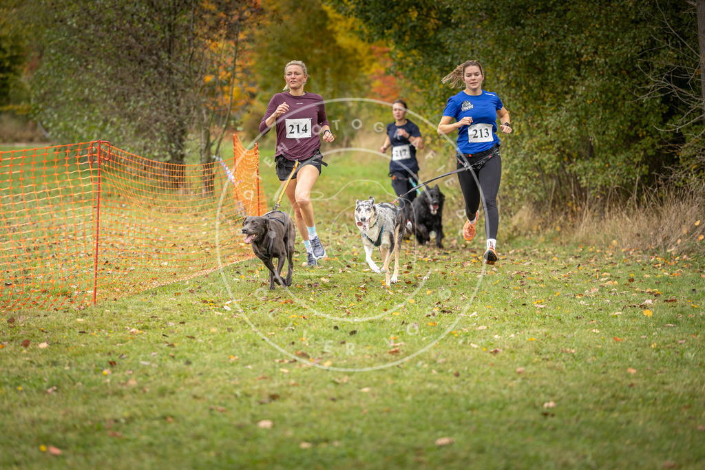 Pfotenfotografie_DV3A4749 | Hundefotografie, Tierfotograf, Pfotenfotografie, Fotoshooting Hund, Hunde Portrait, Hundesport, Hundeportraits, Heideshooting, Hunde, Sportfotograf, Hundefotograf, Turnierhundsport, THS,  - Realisiert mit Pictrs.com