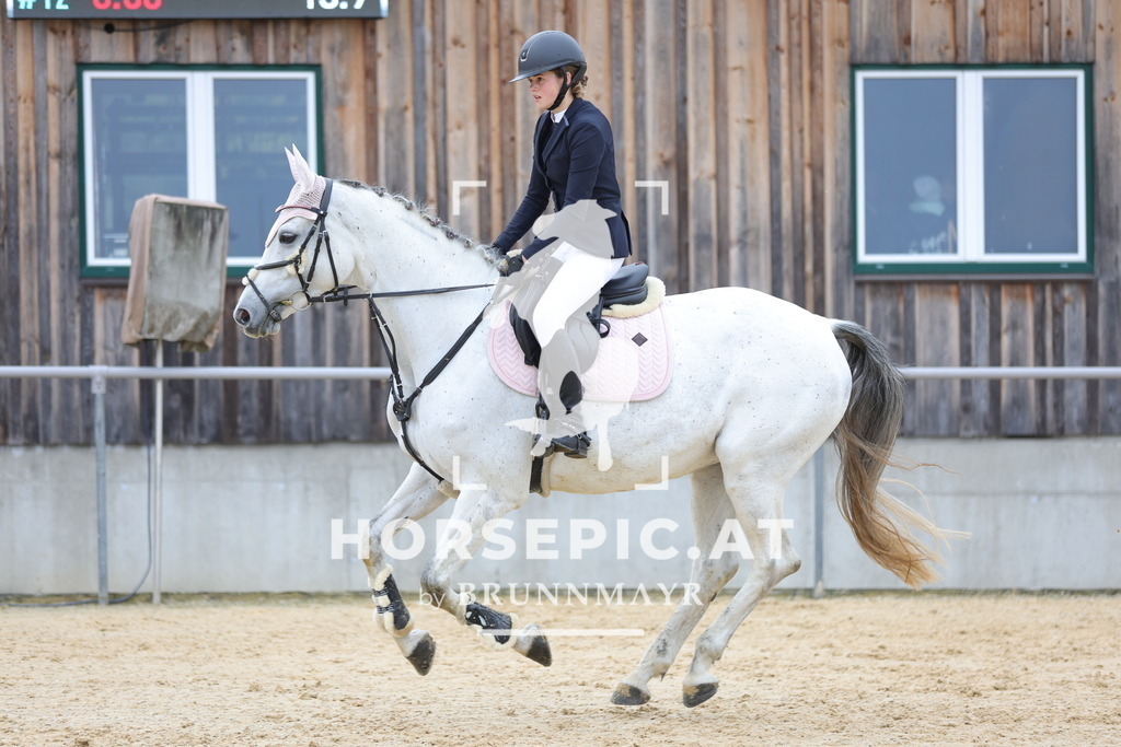 0P6A1280 | Willkommen bei Brunnmayr - Design & Fotografie – Ihrem Spezialisten für Reitturniere und Pferdeveranstaltungen in Oberösterreich, Salzburg und Bayern! Seit über 17 Jahren sind wir leidenschaftlich dabei.