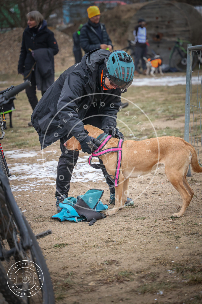 Pfotenfotografie_0L8A2177 | Hundefotografie, Tierfotograf, Pfotenfotografie, Fotoshooting Hund, Hunde Portrait, Hundesport, Hundeportraits, Heideshooting, Hunde, Sportfotograf, Hundefotograf, Turnierhundsport, THS,  - Realisiert mit Pictrs.com