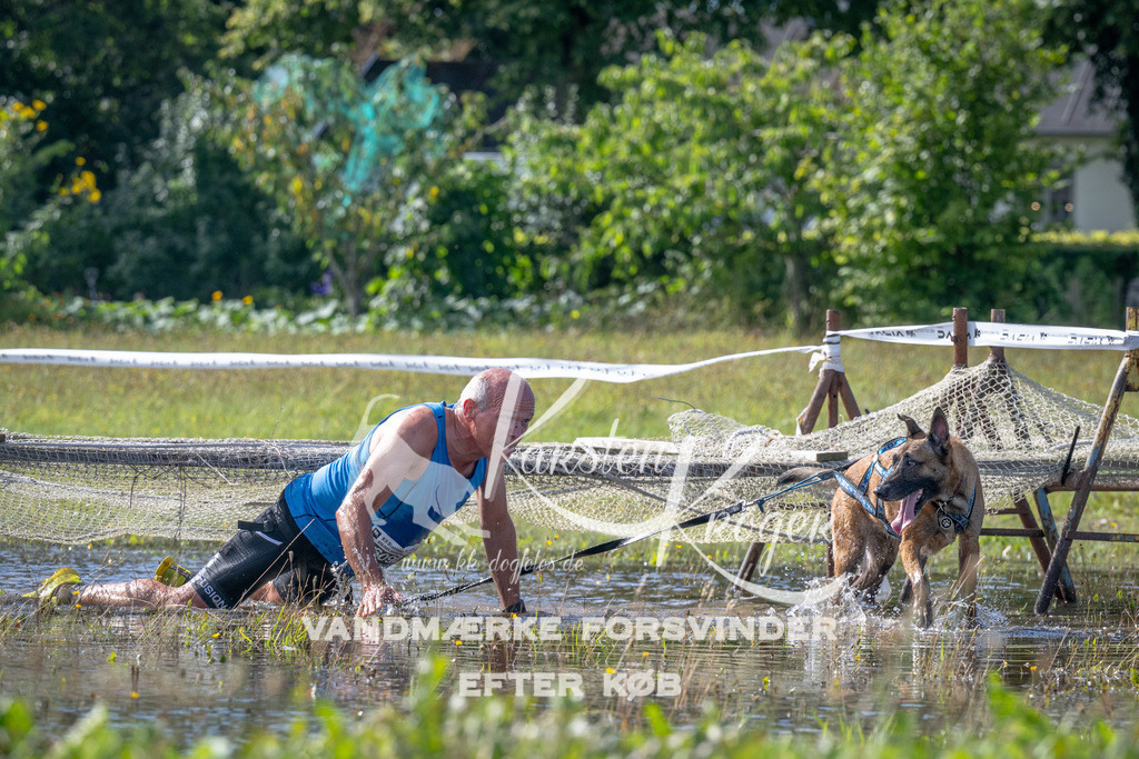 1137_ZZ90584 | kk-dogfotos