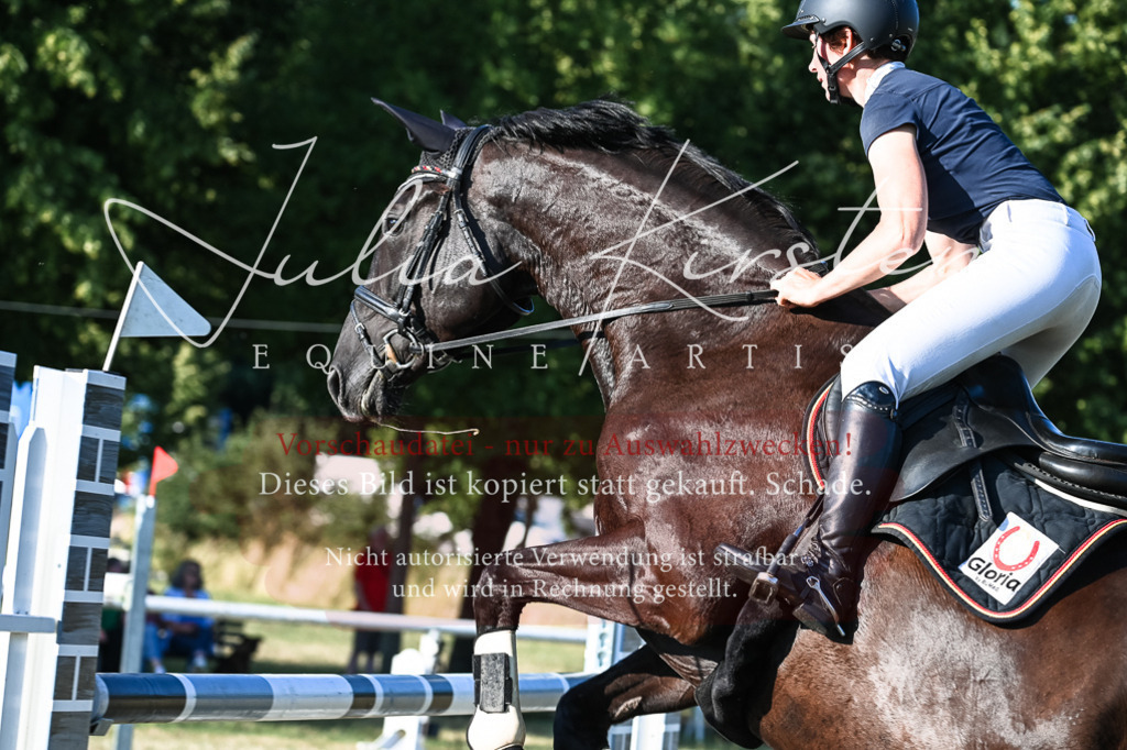 DSC_3079 | Pferde- und Turnierfotografie in Westsachsen. Pferdeportraits, Auftragszeichnungen und intuitive Kunst.