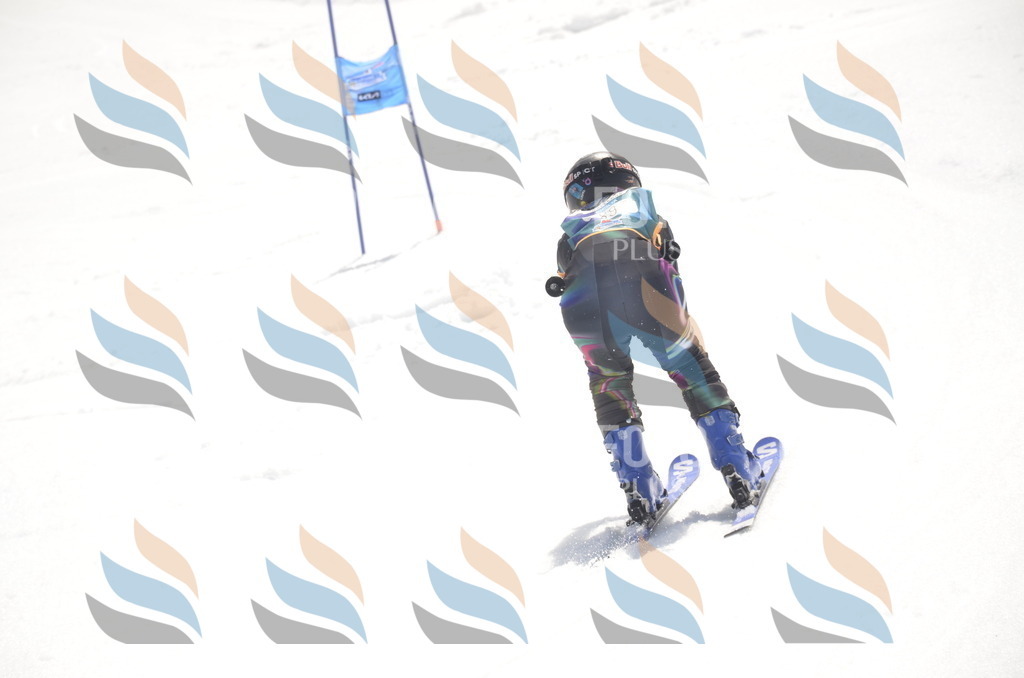 _ELE9271 | holidayphoto