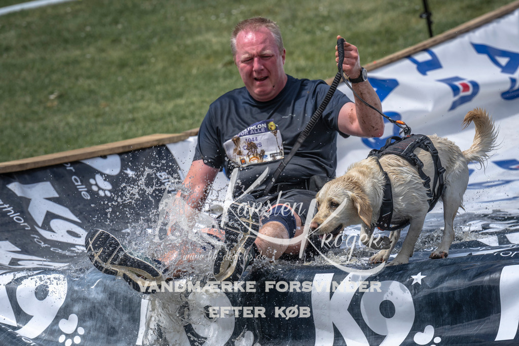 1214_ZZ96188 | kk-dogfotos