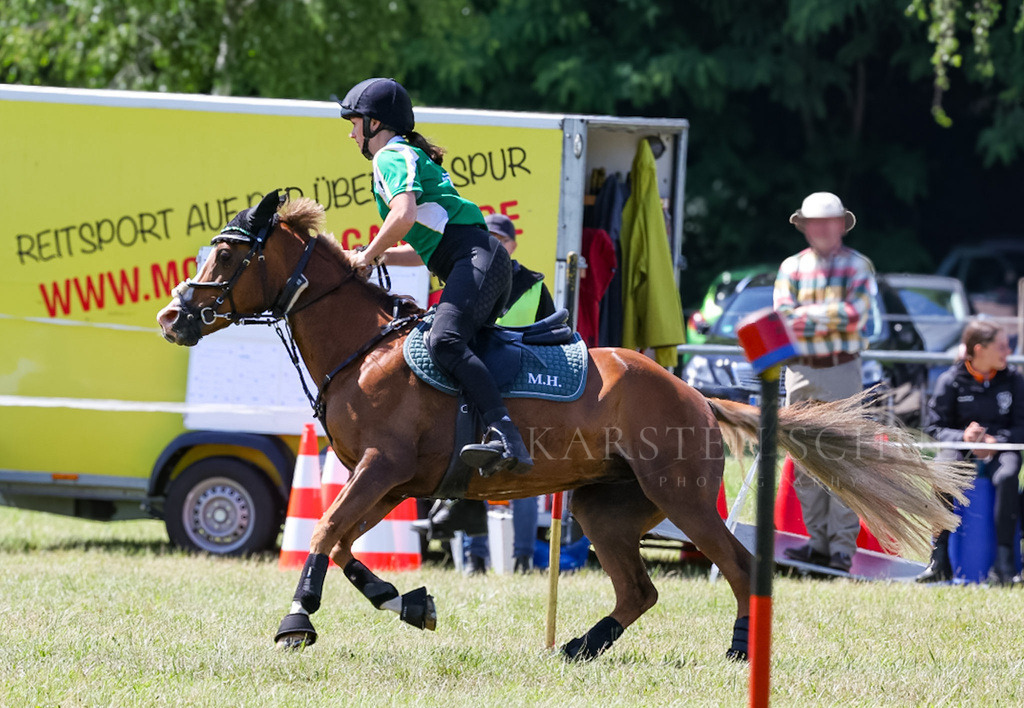 IMG_1634 | Reitsport Reiten